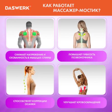 Массажер для спины/мостик для растяжки PREMIUM, 3 уровня нагрузки, фиолетовая вставка, DASWERK (ДАСВЕРК), 680036