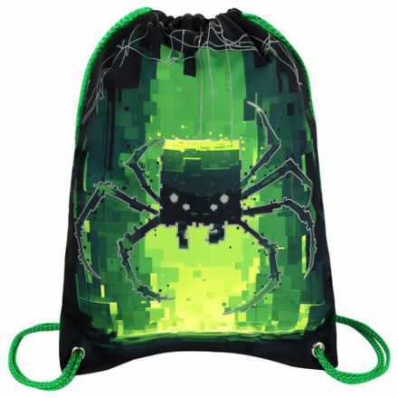 Мешок для обуви BRAUBERG PREMIUM, карман, подкладка, светоотражайка, 43х33 см, "Digital spider", 273444 Мешок для обуви BRAUBERG PREMIUM, карман, подкладка, светоотражайка, 43х33 см, "Digital spider", 273444