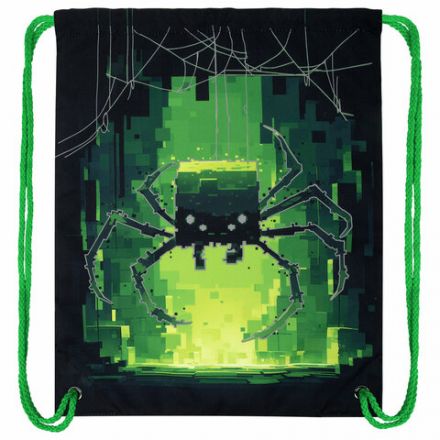Мешок для обуви BRAUBERG PREMIUM, карман, подкладка, светоотражайка, 43х33 см, "Digital spider", 273444 Мешок для обуви BRAUBERG PREMIUM, карман, подкладка, светоотражайка, 43х33 см, "Digital spider", 273444