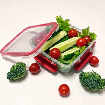 Контейнер с крышкой пищевой 1,7 л герметичный, BUTTERFLY, ланч бокс, 11х15,6х15,6 см, прозрачный, 4378559, 437855900 Контейнер с крышкой пищевой 1,7 л герметичный, BUTTERFLY, ланч бокс, 11х15,6х15,6 см, прозрачный, 4378559, 437855900