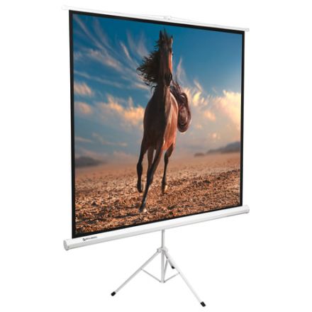 Экран проекционный на треноге (200х200 см), матовый, 1:1, BRAUBERG "TRIPOD", 236731 Экран проекционный на треноге (200х200 см), матовый, 1:1, BRAUBERG "TRIPOD", 236731