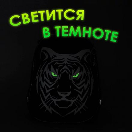 Ранец BRAUBERG SHINY, 2 отделения, с брелком, "Tiger", СВЕТЯЩИЙСЯ РИСУНОК, 38х28х14 см, 270698 Ранец BRAUBERG SHINY, 2 отделения, с брелком, "Tiger", СВЕТЯЩИЙСЯ РИСУНОК, 38х28х14 см, 270698
