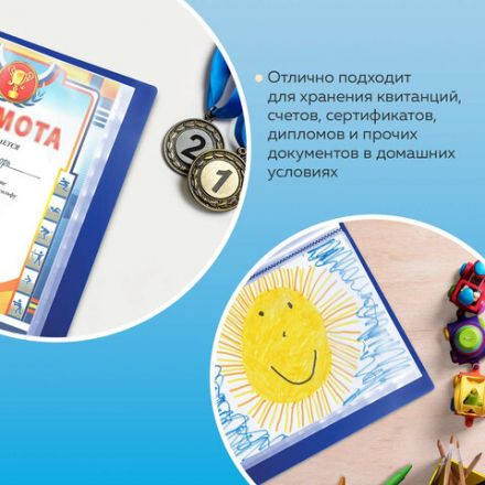 Папка 80 вкладышей BRAUBERG стандарт, синяя, 0,9 мм, 221607