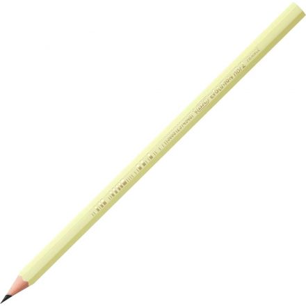 Карандаш чернографитный BIC Evolution Pastel б/ластика, в асс, 518307 Карандаш чернографитный BIC Evolution Pastel б/ластика, в асс, 518307