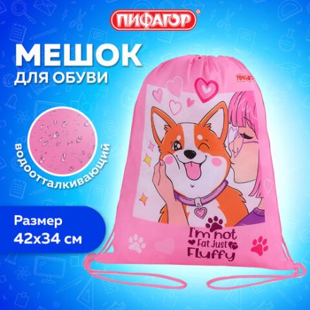 Мешок для обуви ПИФАГОР, 1 отделение, 42х34 см, "Fluffy akita", 272385