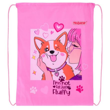 Мешок для обуви ПИФАГОР, 1 отделение, 42х34 см, "Fluffy akita", 272385 Мешок для обуви ПИФАГОР, 1 отделение, 42х34 см, "Fluffy akita", 272385