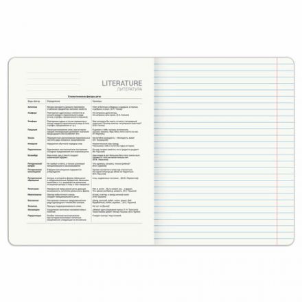 Тетрадь предметная PIGMENT 48 л., глянцевый УФ-лак, ЛИТЕРАТУРА, линия, подсказ, BRAUBERG, 404766 Тетрадь предметная PIGMENT 48 л., глянцевый УФ-лак, ЛИТЕРАТУРА, линия, подсказ, BRAUBERG, 404766