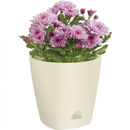 Горшок для цветов AMSTERDAM D 200, 4 л Сливочный ING6201СЛ Горшок для цветов AMSTERDAM D 200, 4 л Сливочный ING6201СЛ