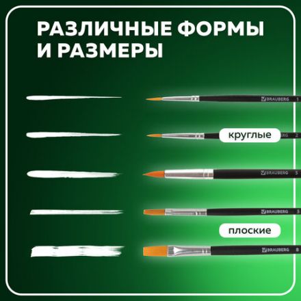 Кисти BRAUBERG, набор 5 шт. (синтетика, круглые № 1, 2, 5, плоские № 5, 8), блистер, 200219 Кисти BRAUBERG, набор 5 шт. (синтетика, круглые № 1, 2, 5, плоские № 5, 8), блистер, 200219