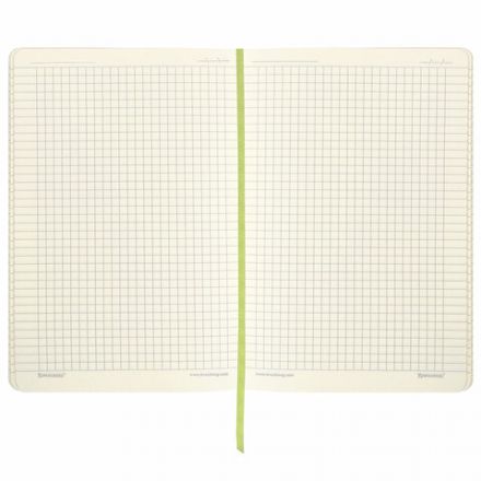 Блокнот А5 (148x218 мм), BRAUBERG "Metropolis Ultra", под кожу, 80 л., резинка, клетка, салатовый, 111020 Блокнот А5 (148x218 мм), BRAUBERG "Metropolis Ultra", под кожу, 80 л., резинка, клетка, салатовый, 111020
