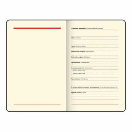 Ежедневник недатированный МАЛЫЙ 100х150 мм А6 BRAUBERG "Status", под кожу, 160 л., синий, 113368