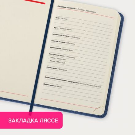 Ежедневник недатированный МАЛЫЙ 100х150 мм А6 BRAUBERG "Status", под кожу, 160 л., синий, 113368