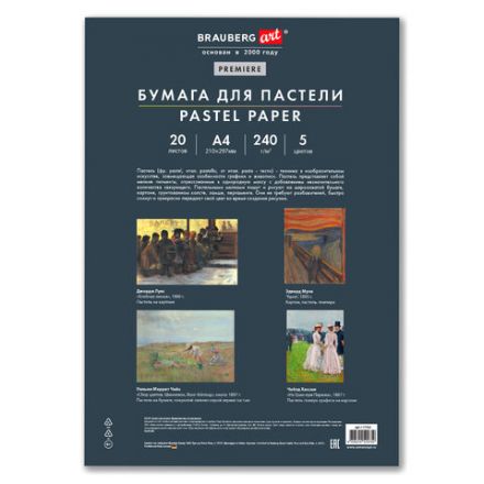 Бумага для пастели АБРАЗИВНАЯ А4 в папке, 20 листов, 5 цветов, 240 г/м2, BRAUBERG ART, 117763