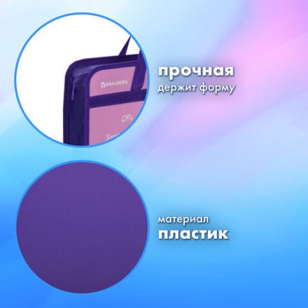 Папка на молнии с ручками BRAUBERG А4, 1 отделение, пластик, 80 мм, "Black Cat", 270122