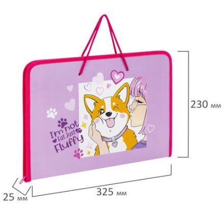 Папка для труда на молнии с ручками ПИФАГОР А4, 1 отделение, пластик, органайзер, "Fluffy akita", 272227