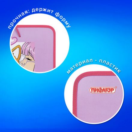 Папка для труда на молнии с ручками ПИФАГОР А4, 1 отделение, пластик, органайзер, "Fluffy akita", 272227