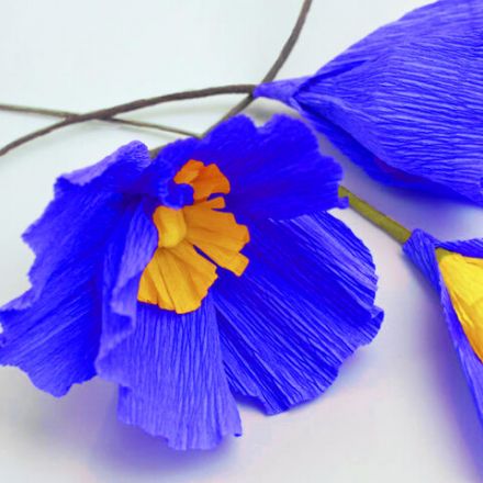 Бумага гофрированная/креповая, 32 г/м2, 50х250 см, синяя, в рулоне, BRAUBERG, 126535 Бумага гофрированная/креповая, 32 г/м2, 50х250 см, синяя, в рулоне, BRAUBERG, 126535