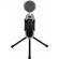 Микрофон Ritmix RDM-127 USB Black