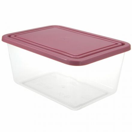 Контейнер 4 л, с крышкой, герметичный, универсальный, хранение и СВЧ, 12,5х19х25 см, IDEA, М 1455 Контейнер 4 л, с крышкой, герметичный, универсальный, хранение и СВЧ, 12,5х19х25 см, IDEA, М 1455