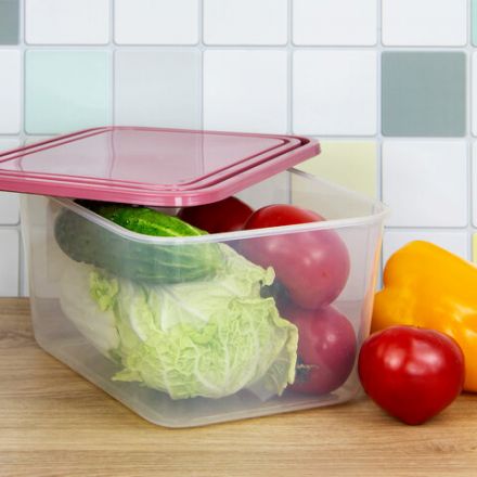 Контейнер 4 л, с крышкой, герметичный, универсальный, хранение и СВЧ, 12,5х19х25 см, IDEA, М 1455 Контейнер 4 л, с крышкой, герметичный, универсальный, хранение и СВЧ, 12,5х19х25 см, IDEA, М 1455