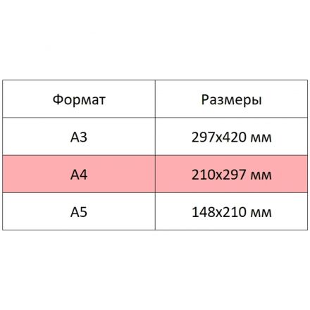 Альбом для рисования 20л А4 обл.картон,в асс.С0218