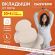 Вкладыши от пота, прокладки для подмышек, 24 шт., бежевый цвет, размер L, DASWERK (ДАСВЕРК), 609983
