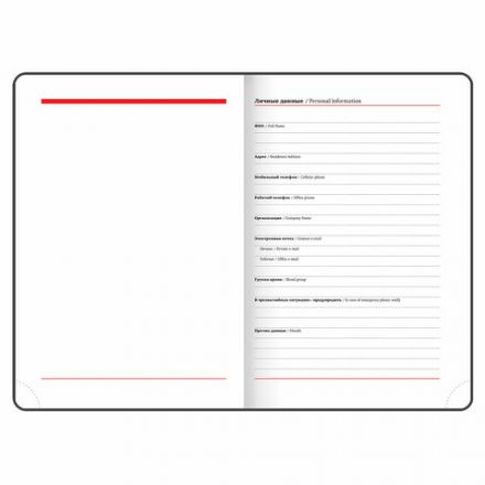 Ежедневник недатированный А5 (138х213 мм), BRAUBERG VISTA, под кожу, гибкий, 136 л., "Enigma", 111989 Ежедневник недатированный А5 (138х213 мм), BRAUBERG VISTA, под кожу, гибкий, 136 л., "Enigma", 111989