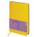 Ежедневник датированный 2026 А5 138x213 мм, BRAUBERG "Stylish", под кожу, гибкий, желтый, 117101 Ежедневник датированный 2026 А5 138x213 мм, BRAUBERG "Stylish", под кожу, гибкий, желтый, 117101