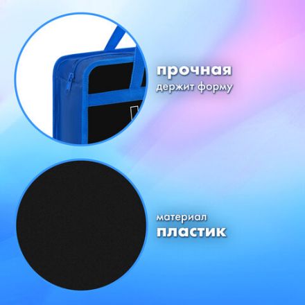 Папка на молнии с ручками BRAUBERG А4, 1 отделение, пластик, 80 мм, "Wild face", 272166