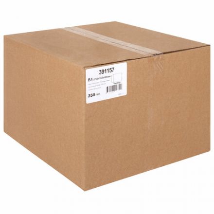 Конверт-пакет В4 объемный (250х353х40 мм), до 300 листов, крафт-бумага, отрывная полоса, 391157 Конверт-пакет В4 объемный (250х353х40 мм), до 300 листов, крафт-бумага, отрывная полоса, 391157