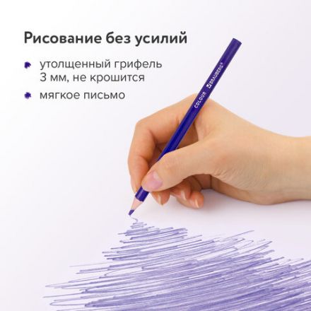Карандаши цветные BRAUBERG PREMIUM, 12 цветов, трехгранные, грифель 3 мм, 181661 Карандаши цветные BRAUBERG PREMIUM, 12 цветов, трехгранные, грифель 3 мм, 181661