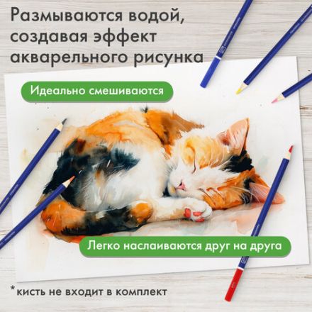 Карандаши художественные цветные акварельные BRAUBERG ART CLASSIC, 24 цвета, грифель 3,3 мм, 181530 Карандаши художественные цветные акварельные BRAUBERG ART CLASSIC, 24 цвета, грифель 3,3 мм, 181530