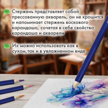 Карандаши художественные цветные акварельные BRAUBERG ART CLASSIC, 24 цвета, грифель 3,3 мм, 181530 Карандаши художественные цветные акварельные BRAUBERG ART CLASSIC, 24 цвета, грифель 3,3 мм, 181530