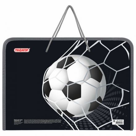 Папка для труда на молнии с ручками ПИФАГОР А4, 1 отделение, пластик, органайзер, "Ball kick", 272229