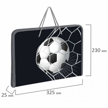 Папка для труда на молнии с ручками ПИФАГОР А4, 1 отделение, пластик, органайзер, "Ball kick", 272229