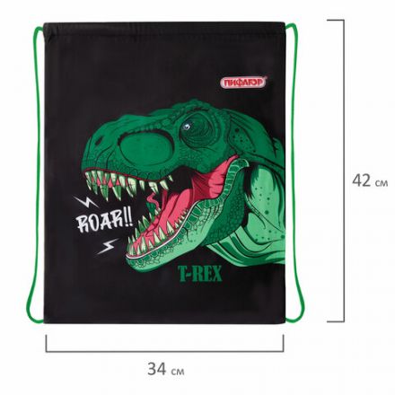 Мешок для обуви ПИФАГОР, 1 отделение, 42х34 см, "Dino roar", 272387