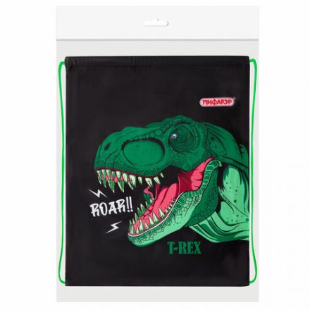 Мешок для обуви ПИФАГОР, 1 отделение, 42х34 см, "Dino roar", 272387 Мешок для обуви ПИФАГОР, 1 отделение, 42х34 см, "Dino roar", 272387