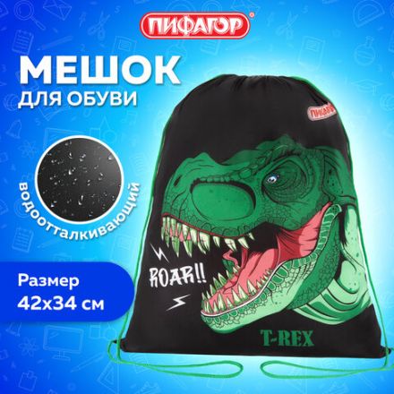 Мешок для обуви ПИФАГОР, 1 отделение, 42х34 см, "Dino roar", 272387 Мешок для обуви ПИФАГОР, 1 отделение, 42х34 см, "Dino roar", 272387