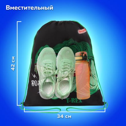 Мешок для обуви ПИФАГОР, 1 отделение, 42х34 см, "Dino roar", 272387 Мешок для обуви ПИФАГОР, 1 отделение, 42х34 см, "Dino roar", 272387