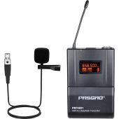 Радиосистема Pasgao PAW-900/PBT-801, 1 канальная, 1 петличн мкф Радиосистема Pasgao PAW-900/PBT-801, 1 канальная, 1 петличн мкф