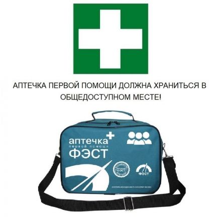 Аптечка первой помощи энергетика ФЭСТ (сумка) арт 1284