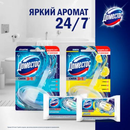 Блок туалетный подвесной твердый 40 г ДОМЕСТОС "Атлантик", основной блок Блок туалетный подвесной твердый 40 г ДОМЕСТОС "Атлантик", основной блок