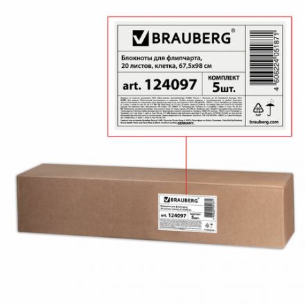 Блокноты для флипчарта ПЛОТНЫЕ 80 г/м2, BRAUBERG, 67,5х98 см, КОМПЛЕКТ 5 шт., 20 л., клетка, 124097 Блокноты для флипчарта ПЛОТНЫЕ 80 г/м2, BRAUBERG, 67,5х98 см, КОМПЛЕКТ 5 шт., 20 л., клетка, 124097
