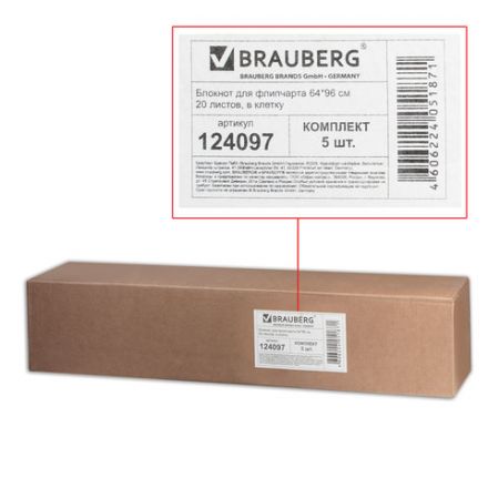 Блокноты для флипчарта ПЛОТНЫЕ 80 г/м2, BRAUBERG, 67,5х98 см, КОМПЛЕКТ 5 шт., 20 л., клетка, 124097 Блокноты для флипчарта ПЛОТНЫЕ 80 г/м2, BRAUBERG, 67,5х98 см, КОМПЛЕКТ 5 шт., 20 л., клетка, 124097