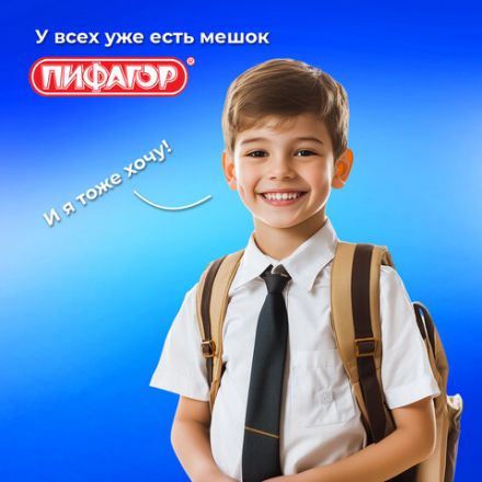 Мешок для обуви ПИФАГОР, 1 отделение, 42х34 см, "White tiger", 272389