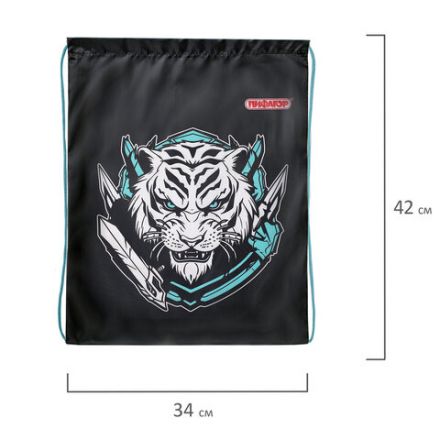 Мешок для обуви ПИФАГОР, 1 отделение, 42х34 см, "White tiger", 272389 Мешок для обуви ПИФАГОР, 1 отделение, 42х34 см, "White tiger", 272389