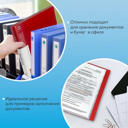 Папка 60 вкладышей BRAUBERG стандарт, красная, 0,8 мм, 228683 Папка 60 вкладышей BRAUBERG стандарт, красная, 0,8 мм, 228683