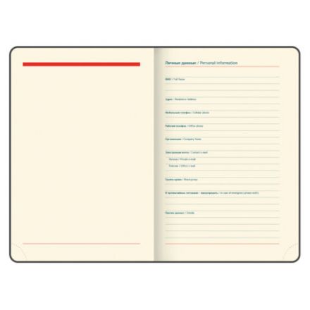 Ежедневник датированный 2026 B6 125х173 мм, GALANT "Vivid", под кожу, серый, 117410