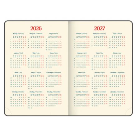 Ежедневник датированный 2026 B6 125х173 мм, GALANT "Vivid", под кожу, серый, 117410