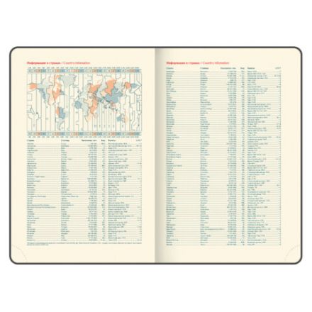 Ежедневник датированный 2026 B6 125х173 мм, GALANT "Vivid", под кожу, серый, 117410